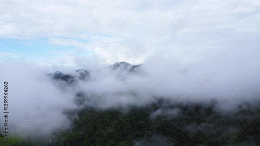 The aerial view of the mountains covered in clouds looks beautiful, piercing through the clouds The aerial view of the mountains covered in clouds looks beautiful, piercing through the clouds