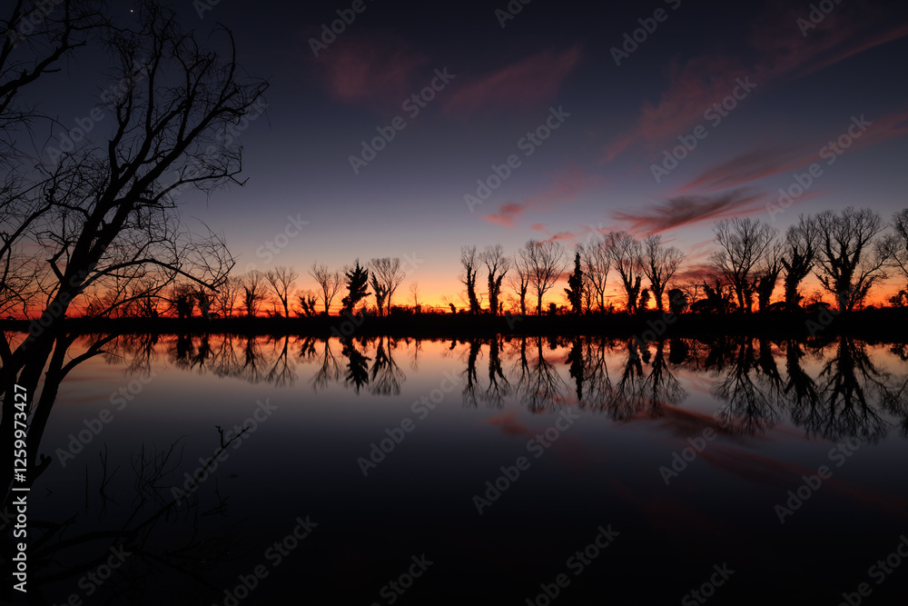 sagome di alberi spogli in controluce che si riflettono insieme ad un bellissimo cielo colorato al tramonto sulla superficie piatta e calma del fiume Isonzo, nell'Italia nord-orientale, in inverno