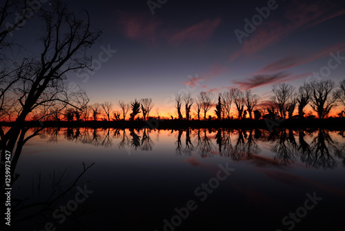 sagome di alberi spogli in controluce che si riflettono insieme ad un bellissimo cielo colorato al tramonto sulla superficie piatta e calma del fiume Isonzo, nell'Italia nord-orientale, in inverno photo