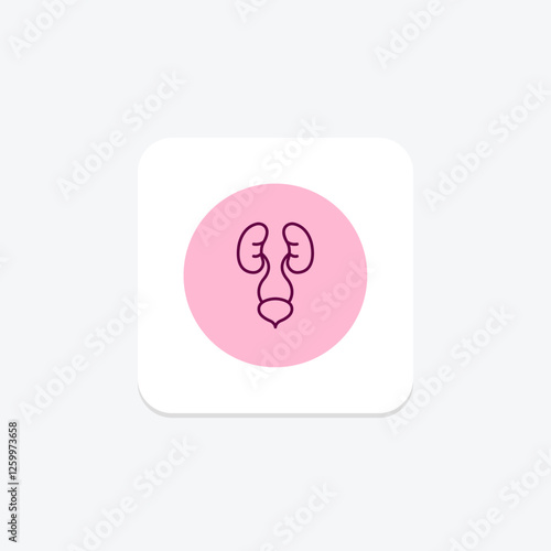 Urinary System pentaglow, vector, pixel perfect, illustrator file