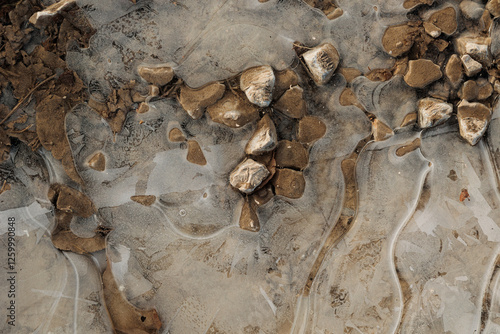 Obraz na płótnie pozzanghere su un terreno naturale con acqua superficiale ghiacciata in inverno w salonie