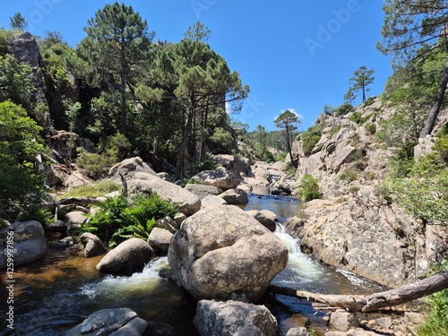 canyon river at piscia di gallo ghjaddu, corsica, france