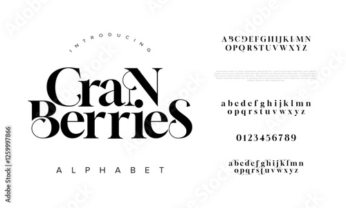 Cranberries typography beauty fashion elegant minimalist serif italic fonts decorative wedding vintage retro logos. Minimal luxury font alphabet logo. Vector illustration
