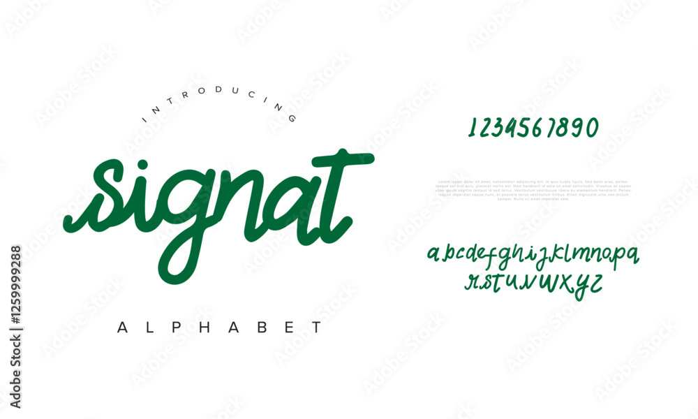 Fototapeta premium Signat font Calligraphy Logotype Script Brush Font Type Font lettering handwritten