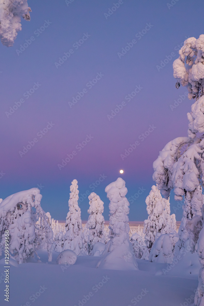 winter landscape with trees and snow