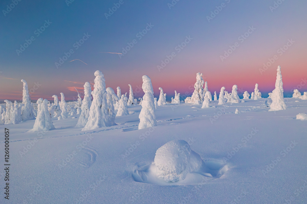 winter landscape with snow