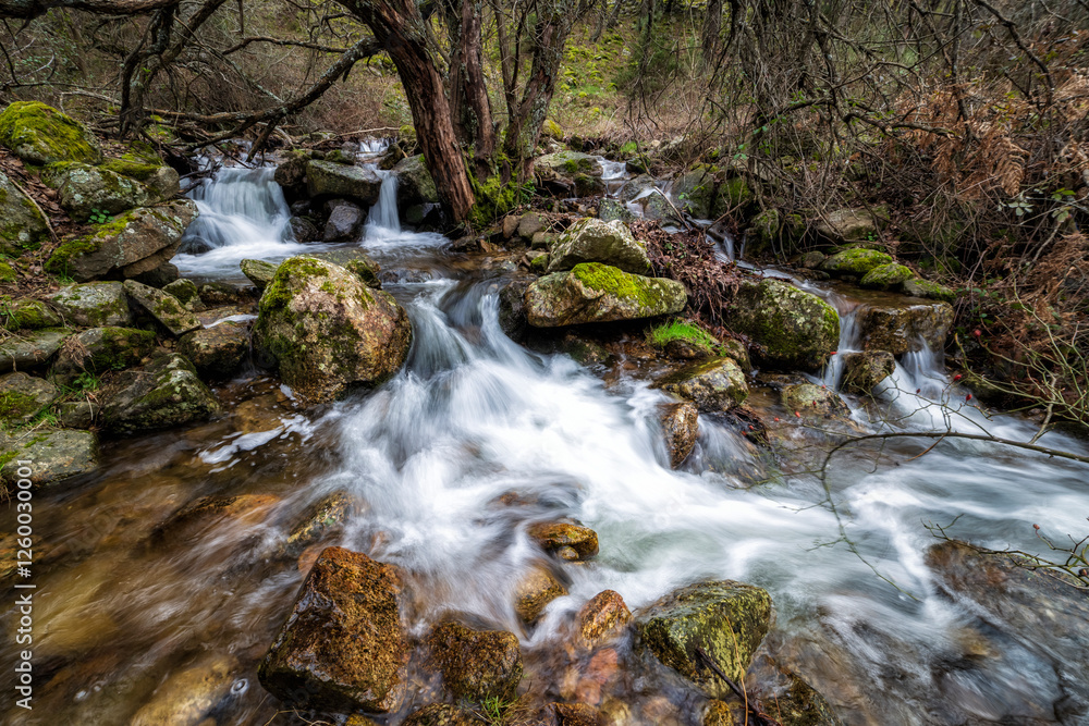 Fototapeta premium Stream in Robledondo.