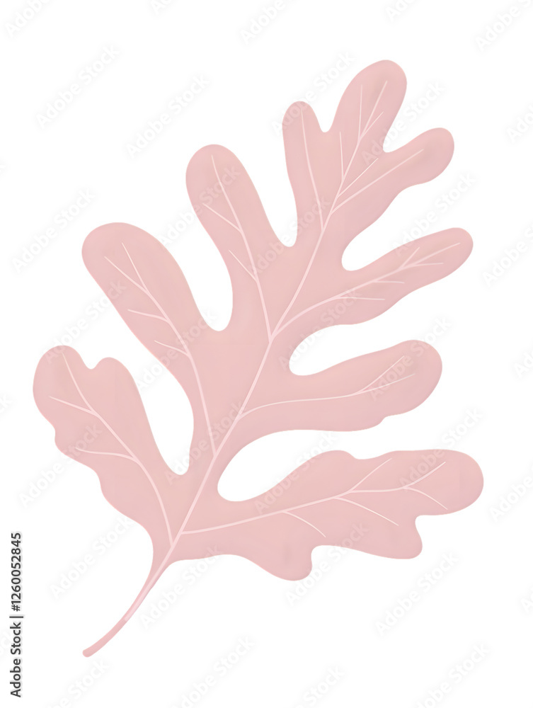 Obraz premium Pink leaf illustration with detailed veins on transparent background