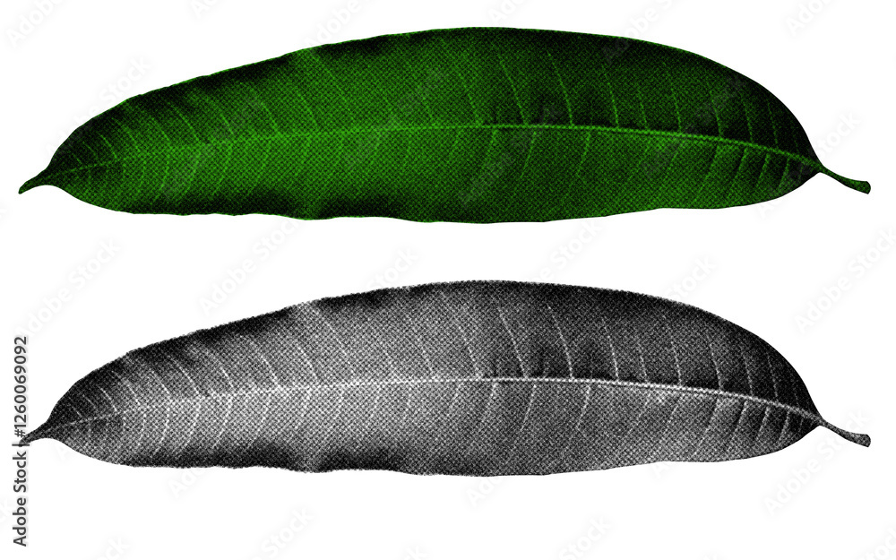 A high-contrast halftone style PNG illustration featuring a leaf with a transparent background. The design uses bold color and a retro, graphic print aesthetic. Ideal for poster and design project. A high-contrast halftone style PNG illustration featuring a leaf with a transparent background. The design uses bold color and a retro, graphic print aesthetic. Ideal for poster and design project.