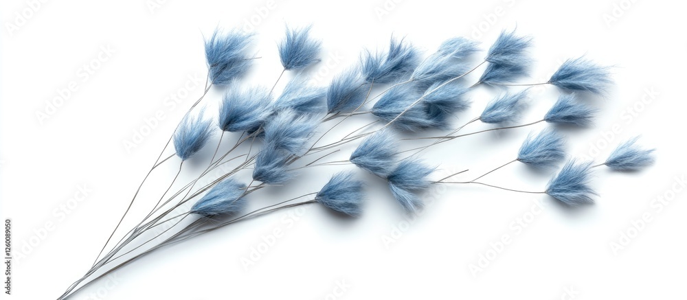 Fototapeta premium Blue dried lagurus grass arrangement on white backdrop featuring soft fluffy blooms positioned along the center for a minimalist aesthetic.