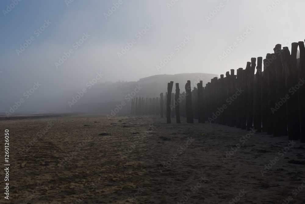 Obraz premium Saint-Malo en hiver, plage du Sillon, brouillard et brise-lames