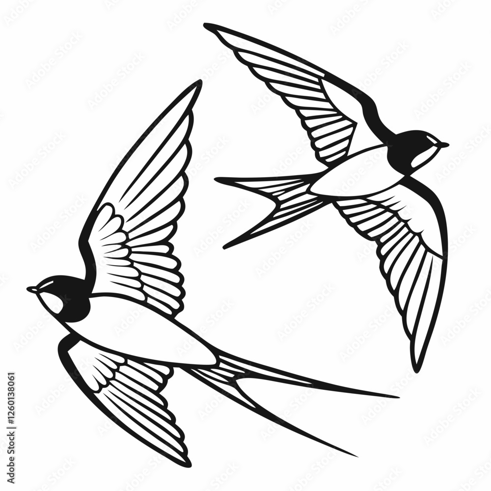 The Lives of Birds in Flight Swallows in mid-flight with detailed wingspans The Lives of Birds in Flight Swallows in mid-flight with detailed wingspans