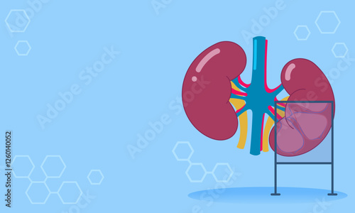 Protecting kidneys: healthcare and medical concept illustration