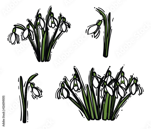 Hand drawn snowdrops bouquet in a jar like vase. Black outline and colored fill of beautiful winter flowers isolated on a white background. Illustrations set for online and print projects.