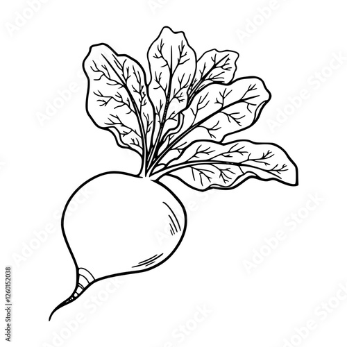 a black and white drawing of a beetroot for coloring pages