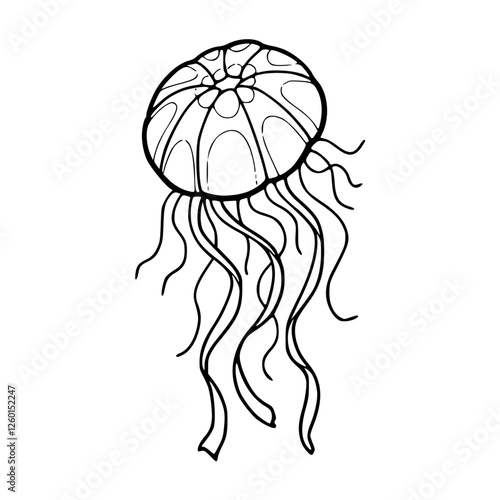 a black and white drawing of a realistic jellyfish illustration