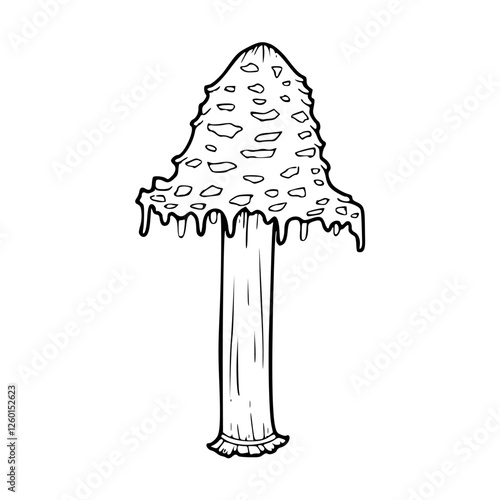 edible mushroom vector graphic : detailed line drawing