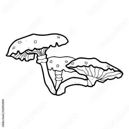 edible mushroom vector graphic : detailed line drawing