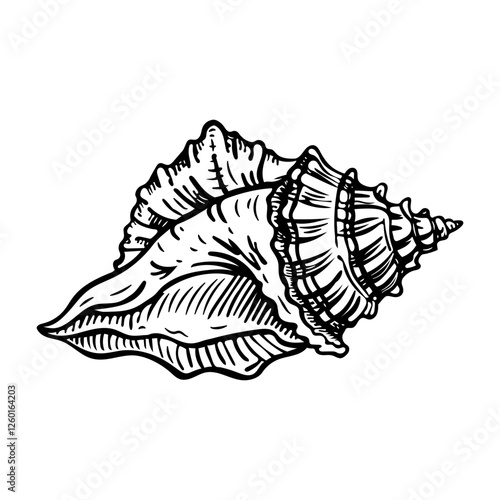 A sketchy icon of conch shell