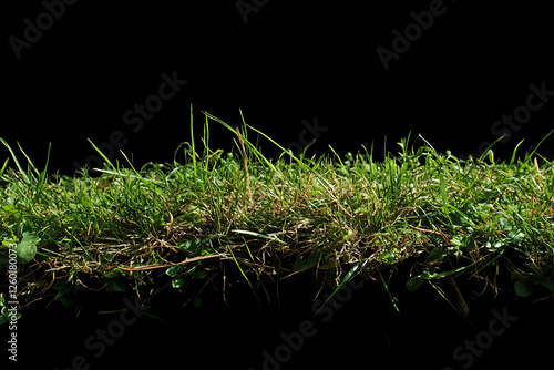 Short patchy grass texture with bare spots on a dark background