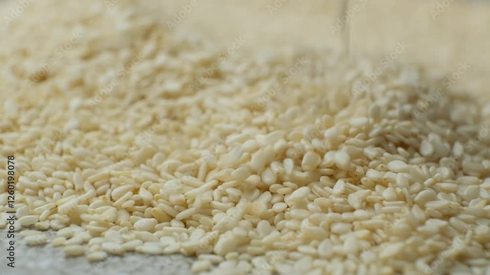 Raw white sesame seeds natural texture slow motion Raw white sesame seeds natural texture slow motion
