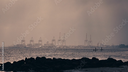 Harbor cranes and paddleboarders in mist photo