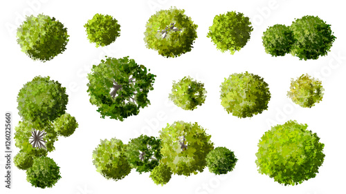 set of green grass, Vector of green tree side view isolated on white background ,watercolor tree elevation for landscape concept,environment scene,eco design, garden for spring