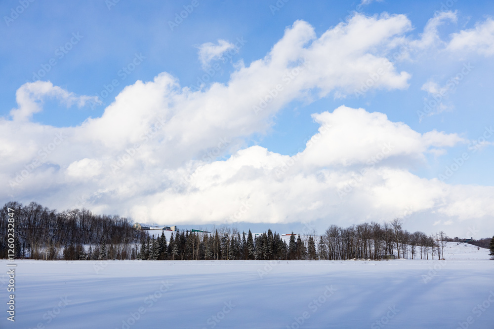 Minimalist rural winter landscape with fields covered in snow and woods, and white clouds in bright blue sky seen during a sunny afternoon, Saint-Augustin-de-Desmaures, Quebec, Canada