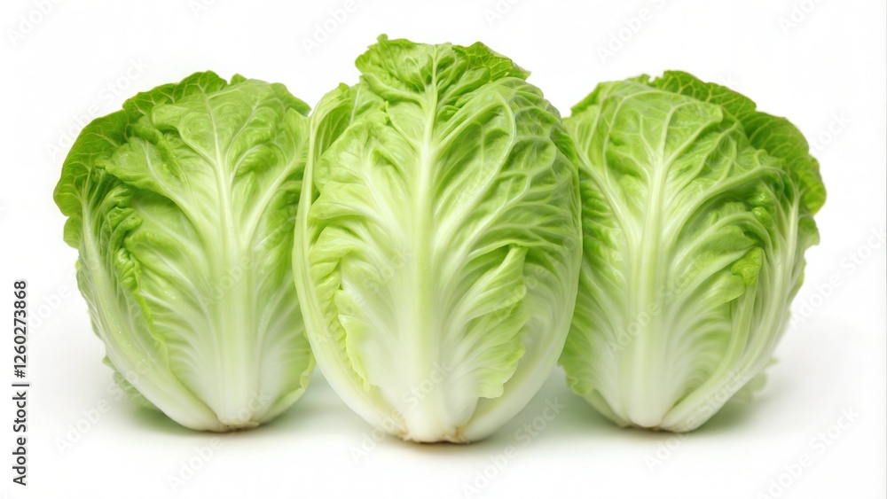 Healthy Romaine Lettuce on White Background
Healthy Romaine Lettuce on White Background