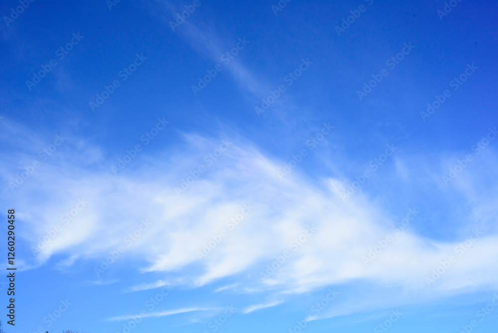 Fototapeta premium Cielo azul con nubes de viento