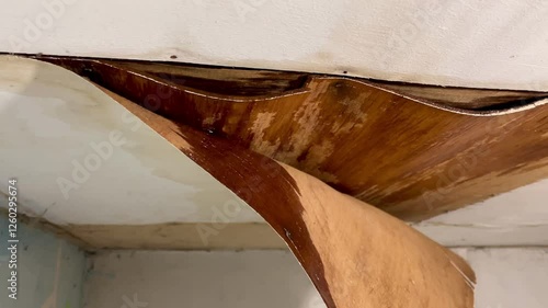 The house ceiling made of plywood peeled off due to rainwater. The house ceiling leaked. Water came out of the peeled off ceiling. House The plywood ceiling peeled off