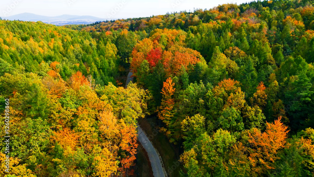 Obraz premium Autumn forest top view nature landscape