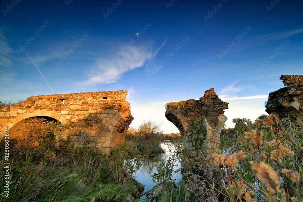 Fototapeta premium ruins of the castle