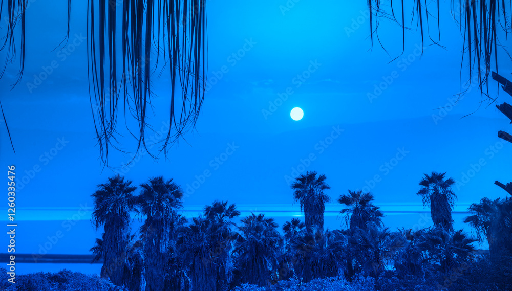 Row of tropical palm trees against the sunset sky. Blue colored. Sunset over the Dead Sea. Silhouette of tall palm trees. Tropical evening landscape