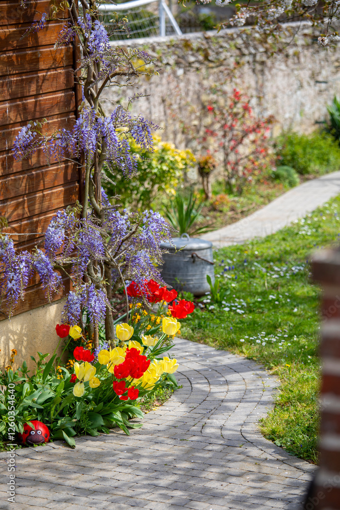 Naklejka premium Joli jardin fleuri paysagé et ses plantes vertes et arbuste au printemps au pied d'une maison.