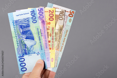Sudanese money in the hand on a gray background