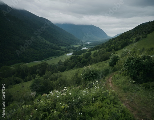 Capturing the Magic of Landscapes Through Photography.