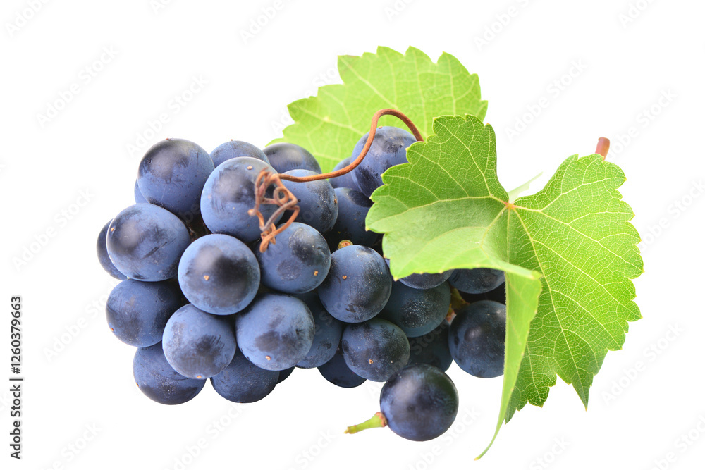 Bunch of grapes isolated on white