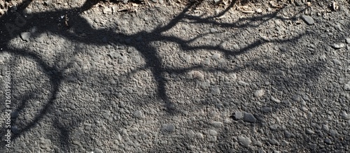 Tree shadow pattern on asphalt highlighting textures and contrast in natural and urban environments for artistic design concepts. photo