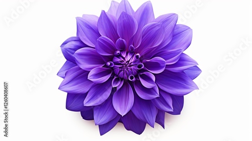 Vibrant Purple Flower on White Background