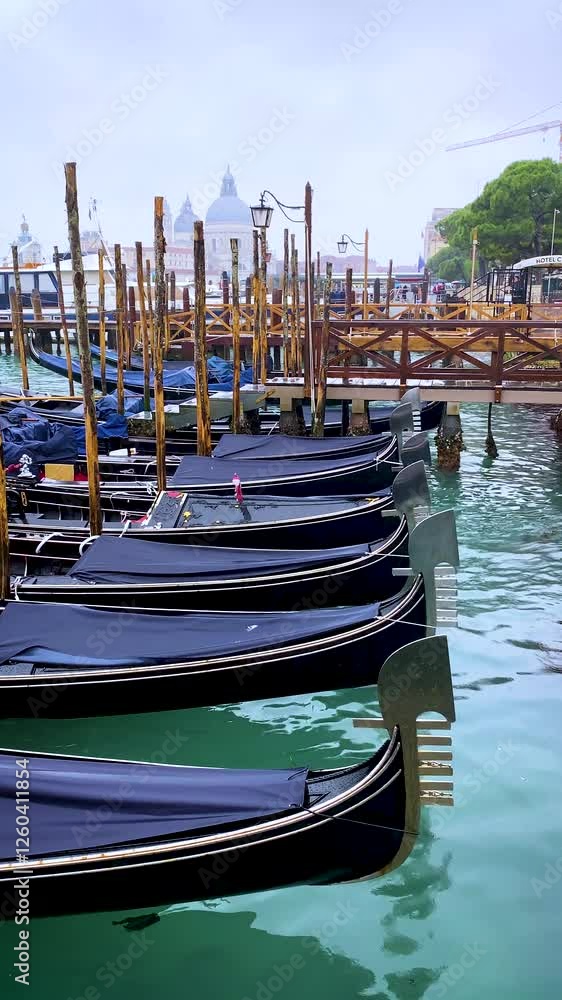 Gondolas boats moored at San Marco in the Grand Canal, background in San Giorgio di Maggiore church. Venice, Italy. Gondolas boats moored at San Marco in the Grand Canal, background in San Giorgio di Maggiore church. Venice, Italy.