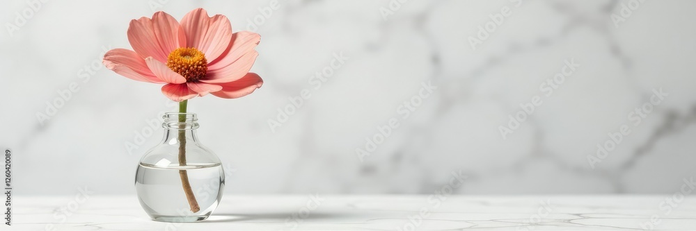 Single dried flower in a small glass vase on a marble background, delicate petals, elegant simple Single dried flower in a small glass vase on a marble background, delicate petals, elegant simple