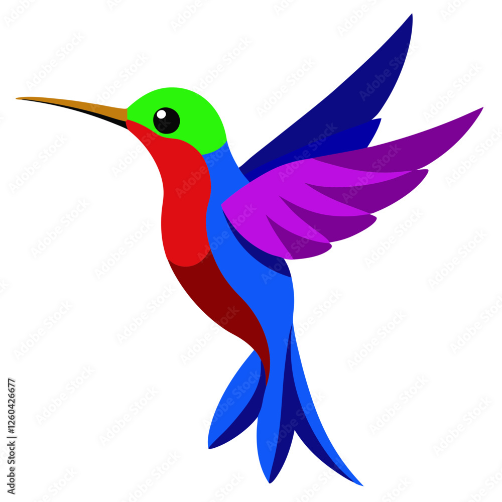 Obraz premium hummingbird