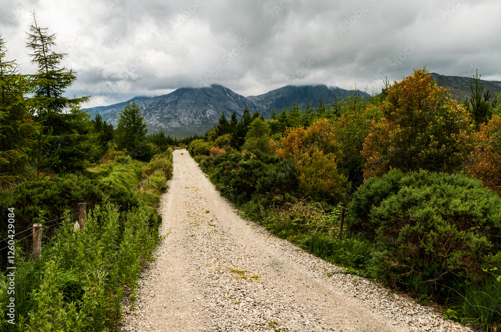Obraz premium Unpaved road of crushed rock leading through the forests and mountains of western Ireland, County Galway.