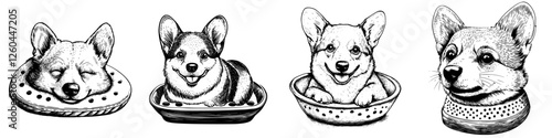 Corgis relaxing in cozy bowls at a sunny home setting on a cheerful afternoon