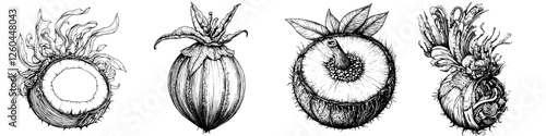 Detailed botanical illustration showcasing various exotic fruits with intricate designs