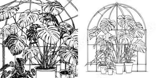 Lush green plants thriving in a glass greenhouse with a dome structure surrounded by natural light