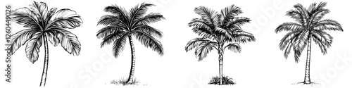 Multiple palm tree illustrations showcasing various shapes and sizes in black and white artistic rendering