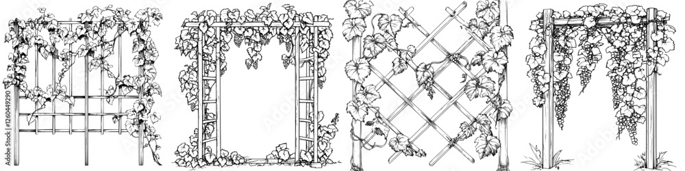 Obraz premium Detailed sketches of garden trellises adorned with climbing vines showcasing various designs and styles for outdoor landscaping