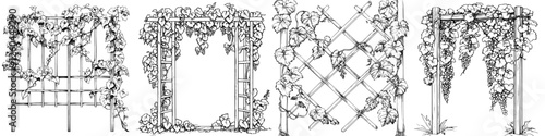 Detailed sketches of garden trellises adorned with climbing vines showcasing various designs and styles for outdoor landscaping